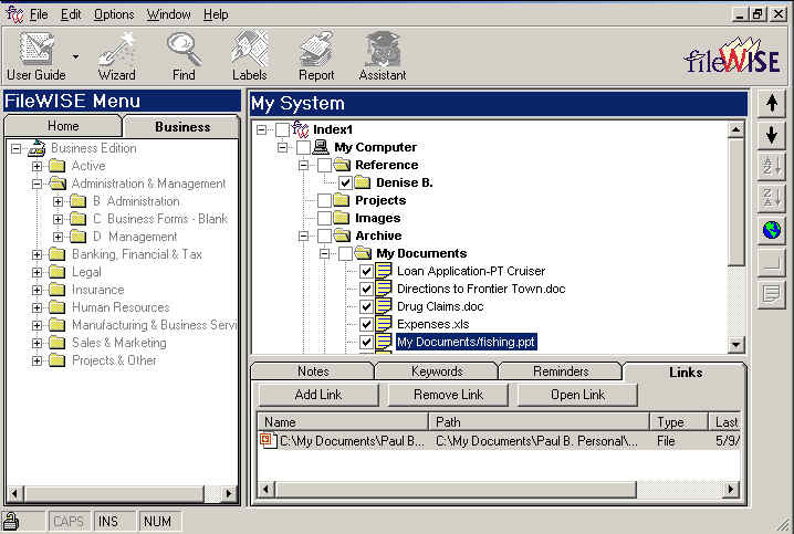 FileWISE Deluxe Software Screenshot